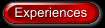 experiencesb.jpg (1568 bytes)
